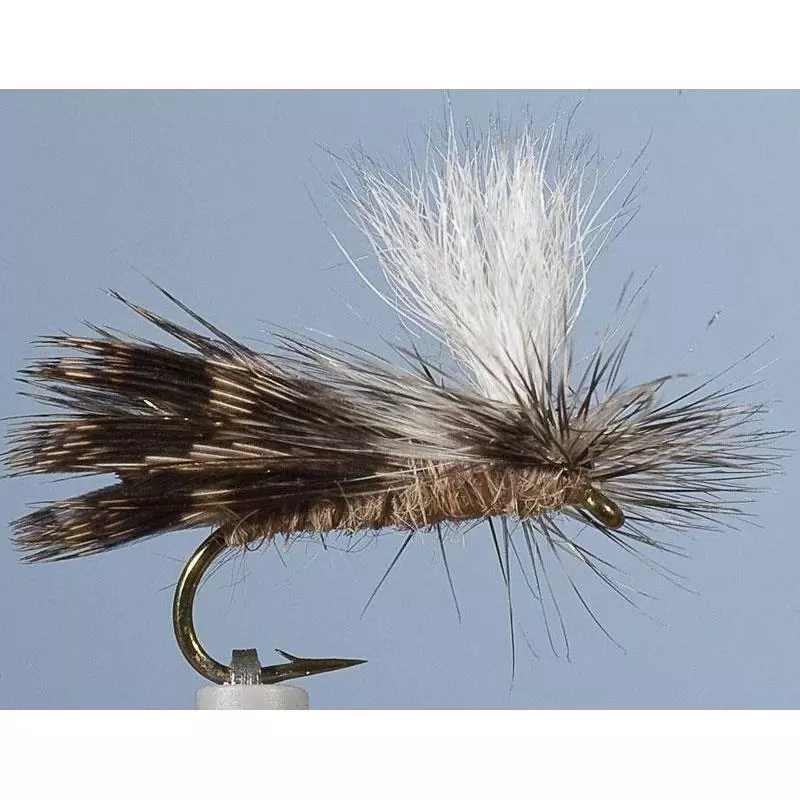 CADDIS FLY JMC SEDGE JMC14