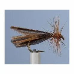 CADDIS FLY JMC SEDGE PETU