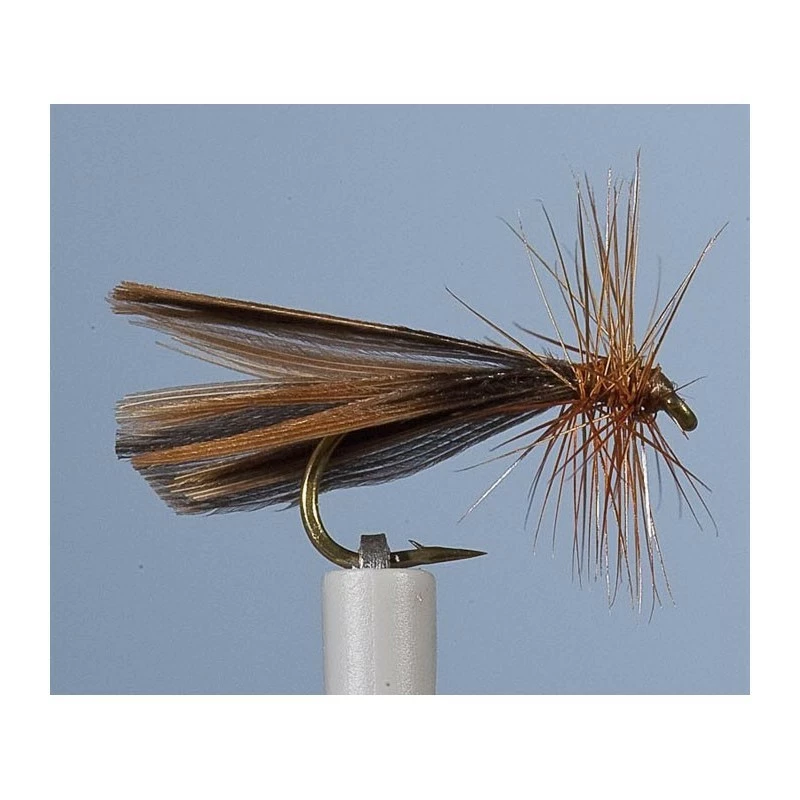 CADDIS FLY JMC SEDGE PETU
