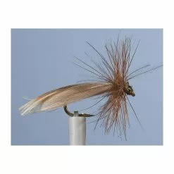 CADDIS FLY JMC SEDGE PIRAT