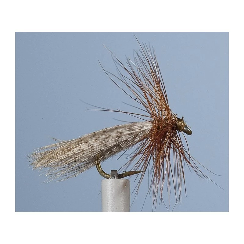 CADDIS FLY JMC SEDGE PRIAY