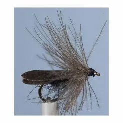 CADDIS FLY JMC SEDGE ZC 20