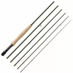 CANNE MOUCHE HARDY AYDON TRAVEL