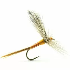 FLY DEVAUX EPHEMERE 630