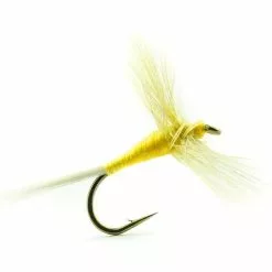 FLY DEVAUX EPHEMERE 814