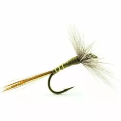 FLY DEVAUX EPHEMERE 911