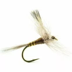 FLY DEVAUX EPHEMERE 916C