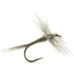 FLY DEVAUX EPHEMERE A1