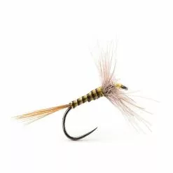 FLY DEVAUX EPHEMERE A4QC