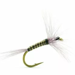 FLY DEVAUX EPHEMERE AK5