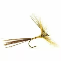 FLY DEVAUX EPHEMERE C606