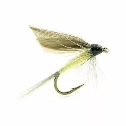 FLY DEVAUX EPHEMERE ORNANS 01