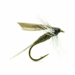 FLY DEVAUX EPHEMERE ORNANS 02