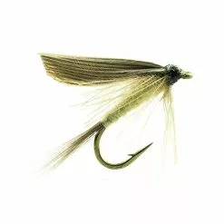 FLY DEVAUX EPHEMERE ORNANS 05