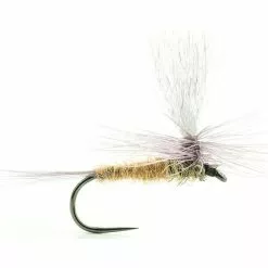 FLY DEVAUX EPHEMERE PARACHUTE P15