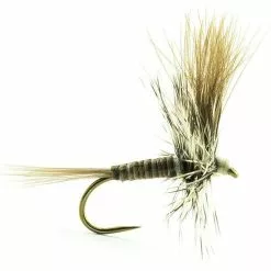 FLY DEVAUX EPHEMERE PK01