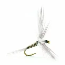 FLY DEVAUX EPHEMERE SPENT 247C