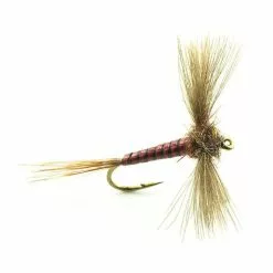 FLY DEVAUX EPHEMERE SPENT JBS01