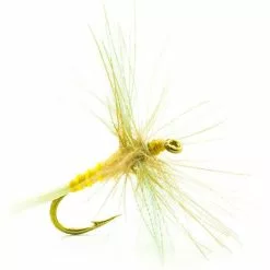 FLY DEVAUX SPENT 240C BL