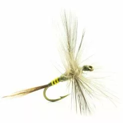 FLY DEVAUX SPENT 245C BL