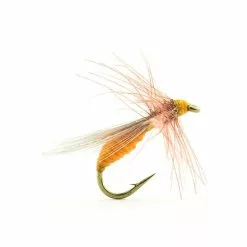 FLY DEVAUX TERRESTRE A517C BL