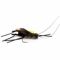FLY DEVAUX TERRESTRE CRICKET02