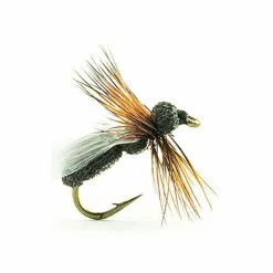 FLY DEVAUX TERRESTRE JBF 01 BL