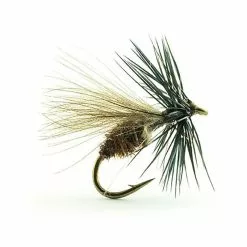 FLY DEVAUX TERRESTRE JBF 02 BL