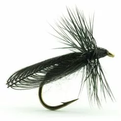 FLY DEVAUX TERRESTRE JBSIAL01