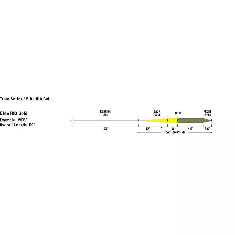 FLY FISHING LINE RIO ELITE GOLD - Image 3