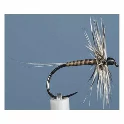 FLY JMC EPHEMERE ELI 10 BL