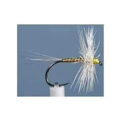 FLY JMC EPHEMERE ELI 12 BL