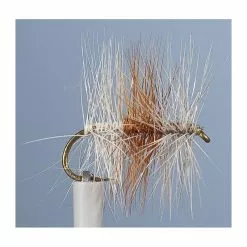 FLY JMC TRICOLORE CLAIRE