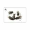 FLY LIVE FOR FLY SEDGE D54 - PACK OF 3