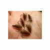 FLY LIVE FOR FLY SEDGE D57 - PACK OF 3