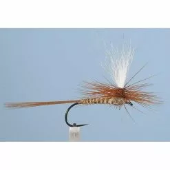 MAYFLY JMC DC54 BL