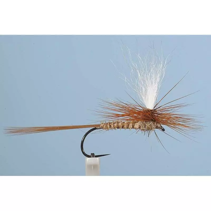 MAYFLY JMC DC54 BL