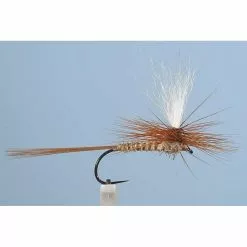 MAYFLY JMC DC54 BL