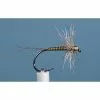 MAYFLY JMC EPHEMERE ELI 11 BL