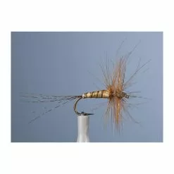 MAYFLY JMC EPHEMERE ELI 18