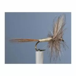 MAYFLY JMC EPHEMERE ELI 28