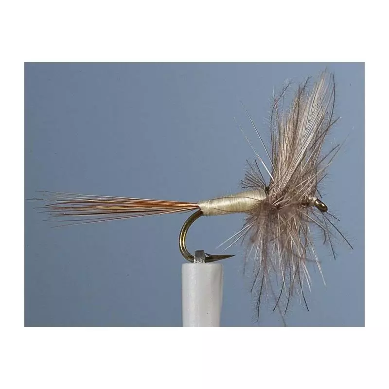 MAYFLY JMC EPHEMERE ELI 28
