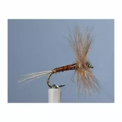 MAYFLY JMC EPHEMERE ELI 3