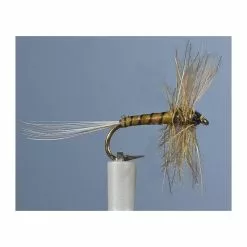 MAYFLY JMC EPHEMERE ELI 4