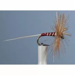 MAYFLY JMC EPHEMERE ELI 41