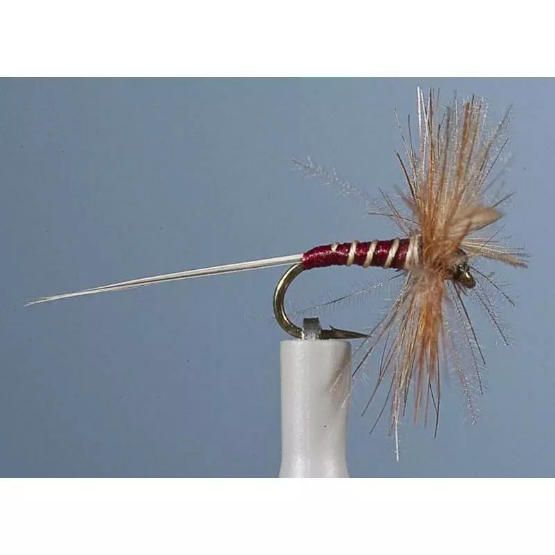 MAYFLY JMC EPHEMERE ELI 41