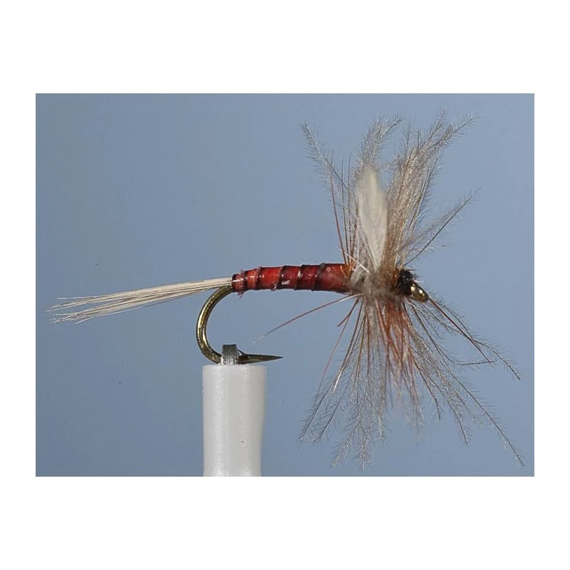 MAYFLY JMC EPHEMERE ELI 6