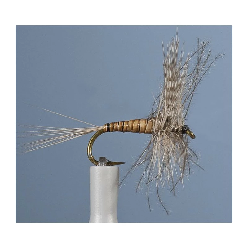 MAYFLY JMC EPHEMERE ELI 7