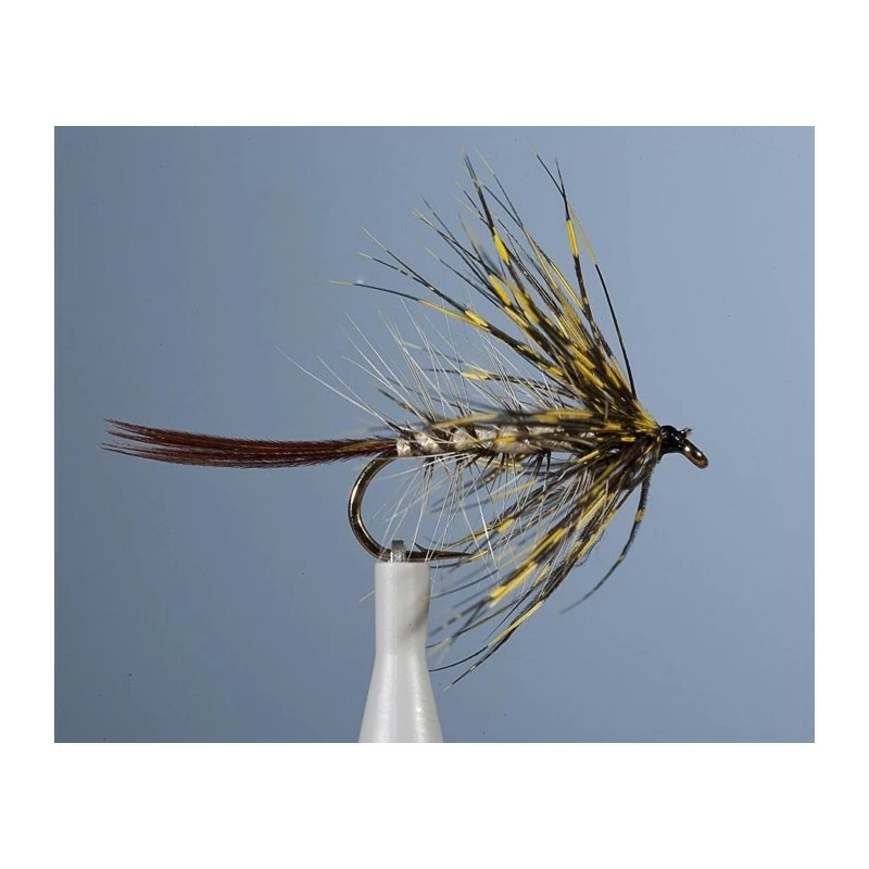 MAYFLY JMC EPHEMERE MAI 1