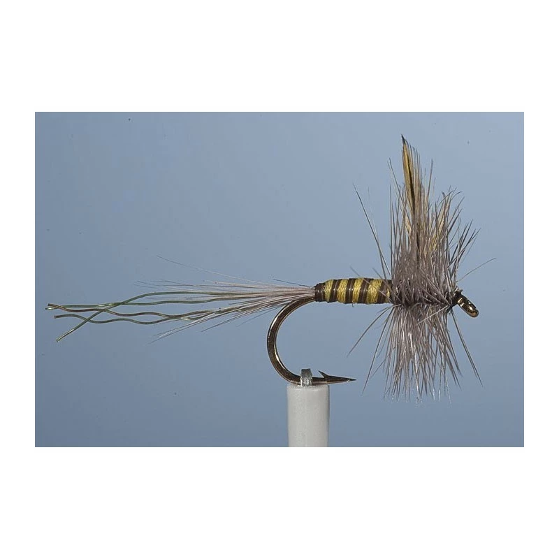 MAYFLY JMC EPHEMERE MAI 3 - PACK OF 3